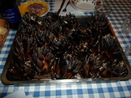 TN_SAM_4997_i carciofi (saliva dolce).JPG